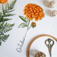 Artmishka - Birth Month Flowers: October - Marigold