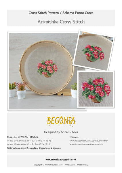 Begonia <BR>