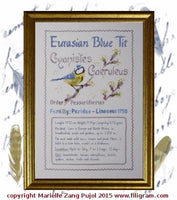 Filigram - Eurasian Blue Tit - Ornithological Index Card