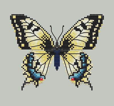 Shannon Christine - Yellow Swallowtail